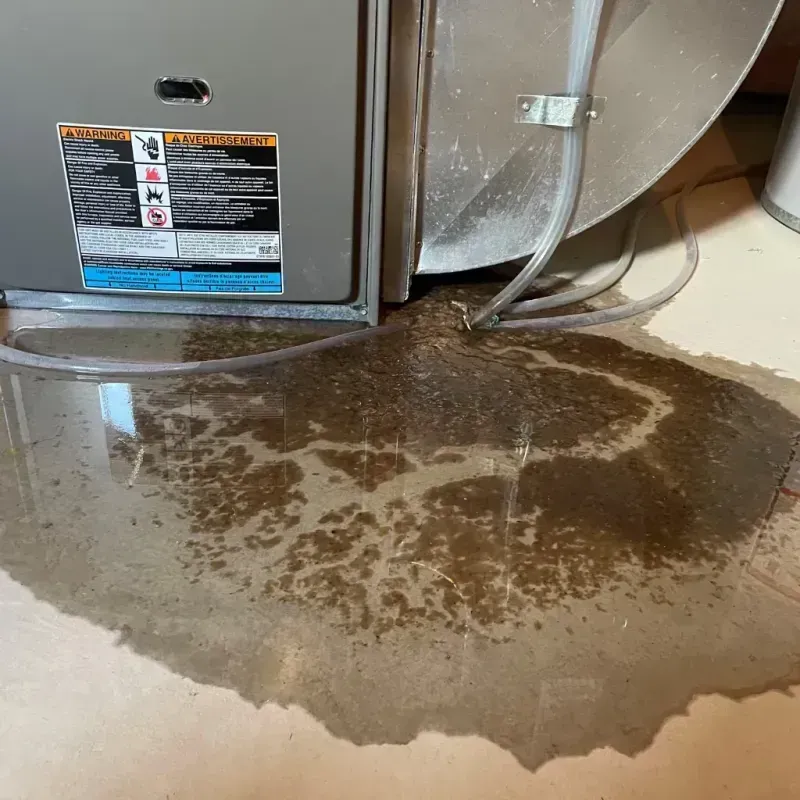 Appliance Leak Cleanup in Claysburg, PA